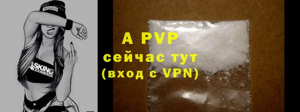 ГАЛЛЮЦИНОГЕННЫЕ ГРИБЫ Осинники