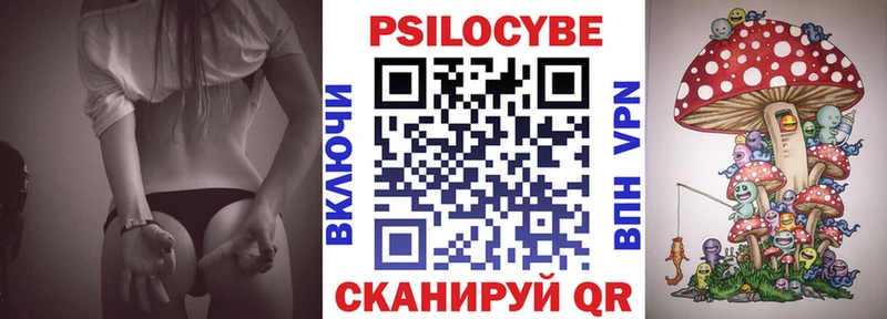 продажа наркотиков  Нововоронеж  Псилоцибиновые грибы ЛСД 