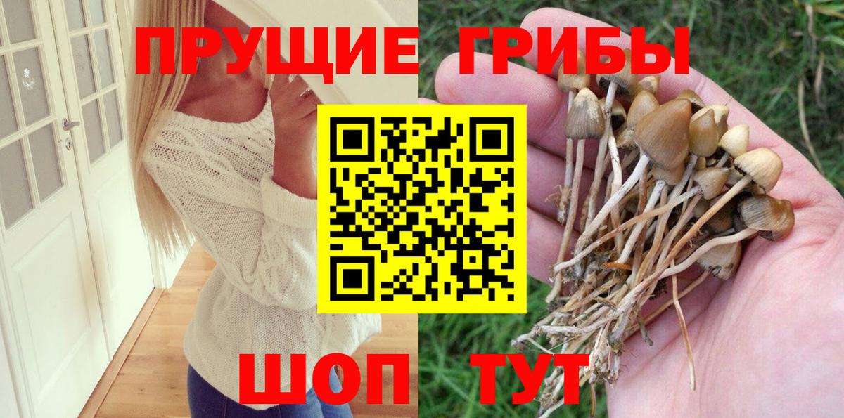Псилоцибиновые грибы мухоморы Нововоронеж