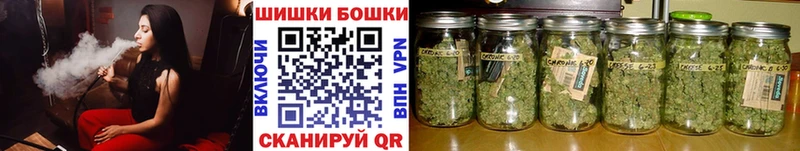 Бошки марихуана план Нововоронеж