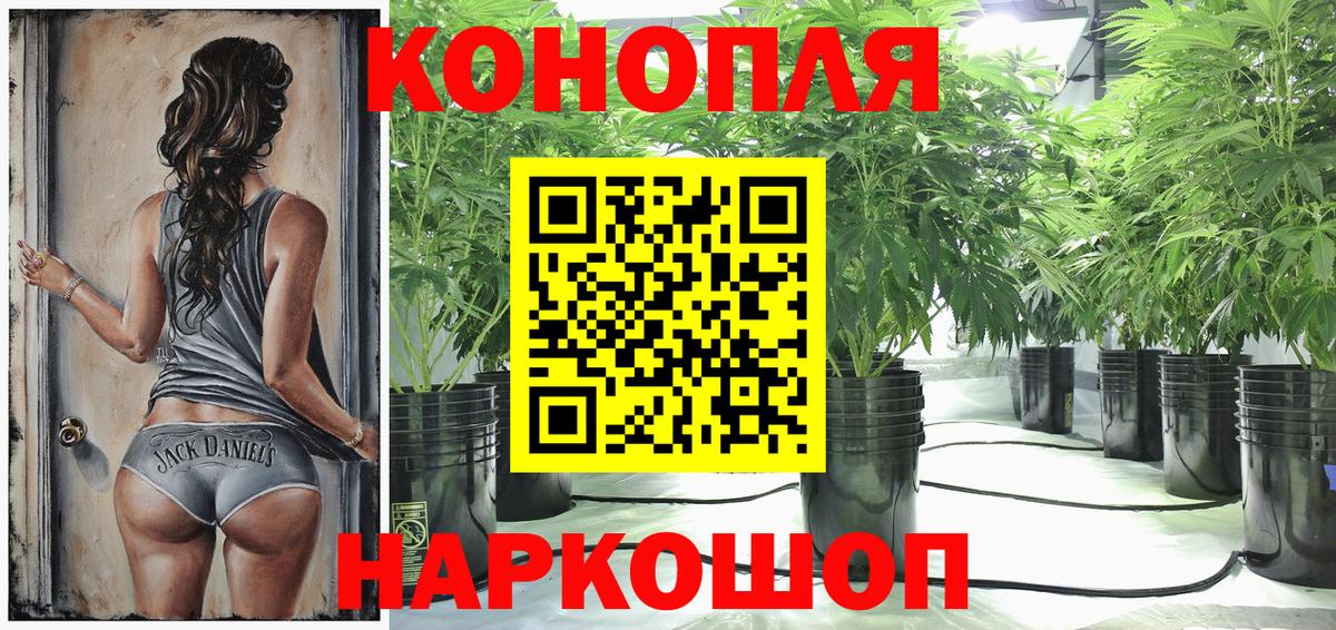 Шишки марихуана тримм Нововоронеж